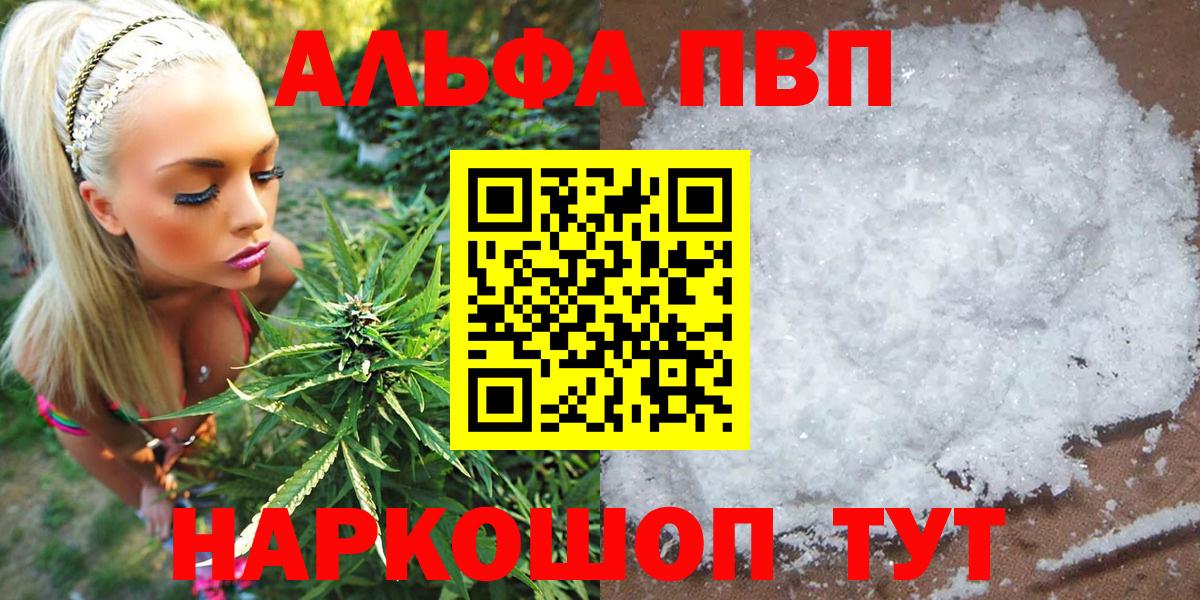 Alfa_PVP СК КРИС Ростов Великий